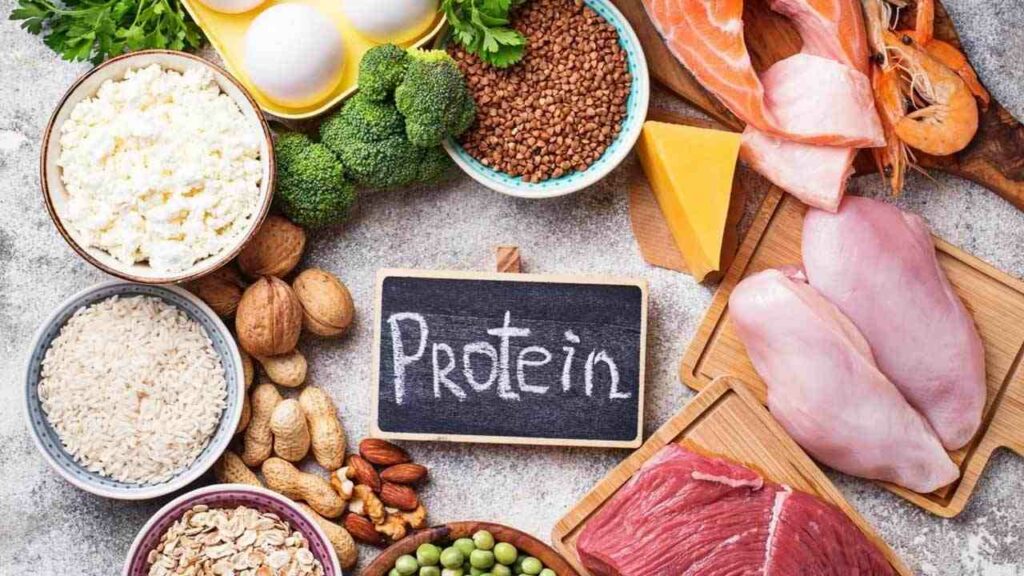 Protein Food