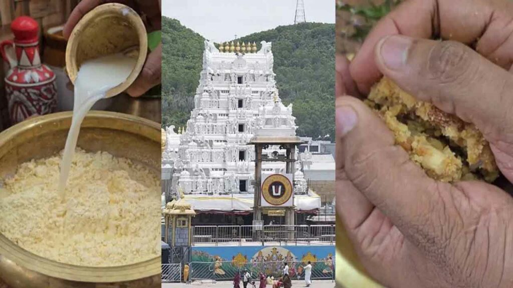 Ttd Laddu