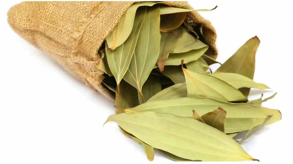 Biryani leaves..not only tasty, but also a secret weapon for health..how about that..?!