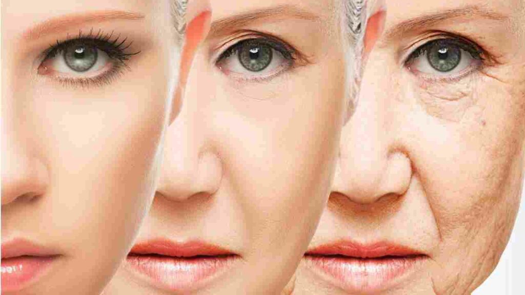 Anti Aging