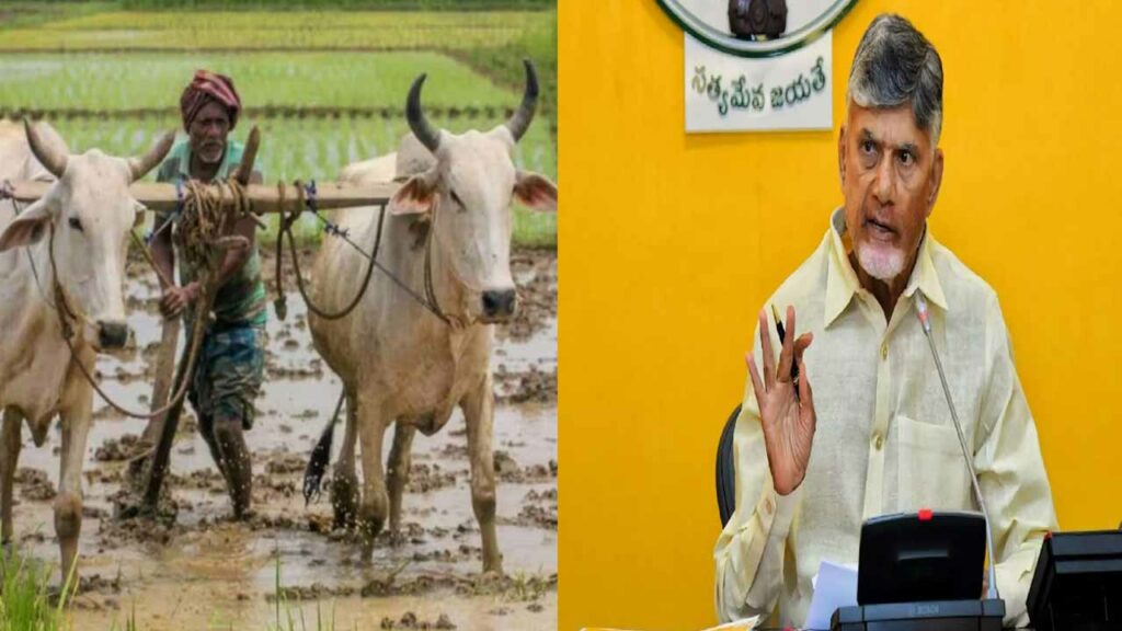 CM Chandrababu reviews with officials on implementation of 'Annadatha Sukhibhava'
