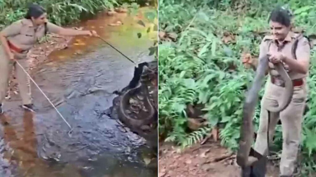 Female officer catches 18-foot-long king cobra, netizens salute her courage