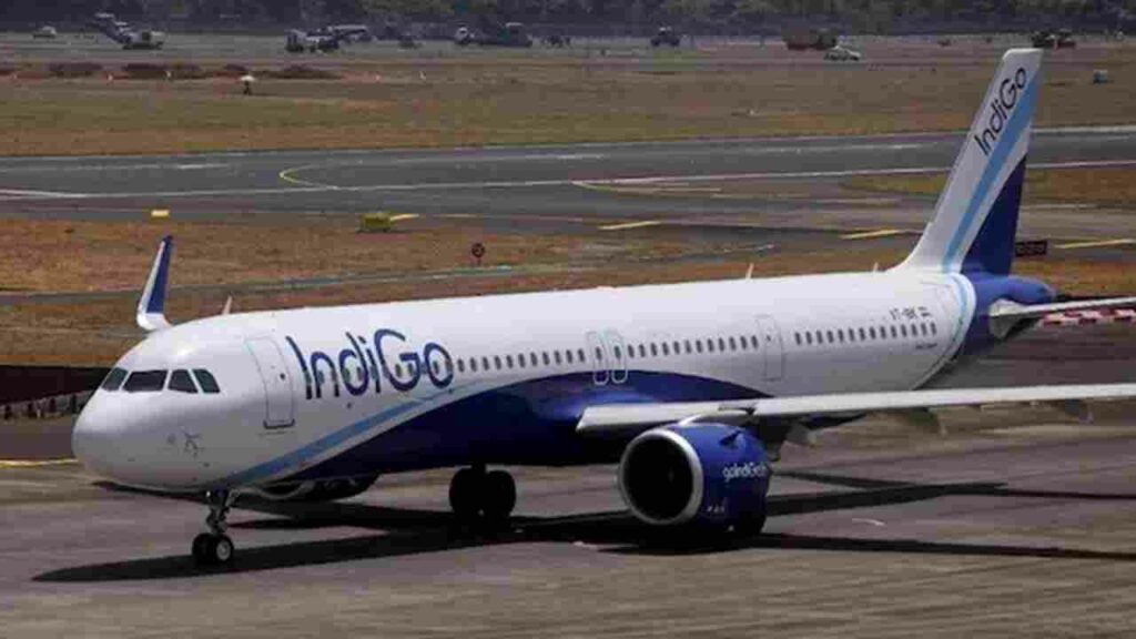 Indigo Flight