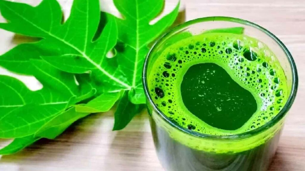 Just drink a spoonful of this leaf juice every day during this season and you will see unexpected changes in your body!