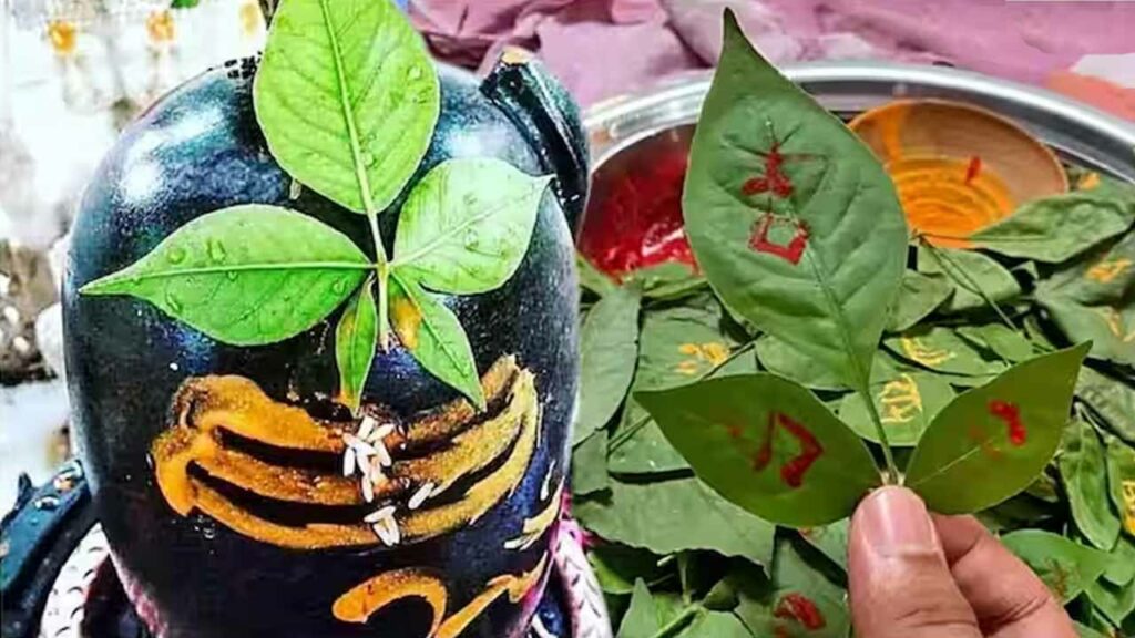 The special nature of Shiva Puja in the month of Shravan.. Can one perform the puja with other gods?