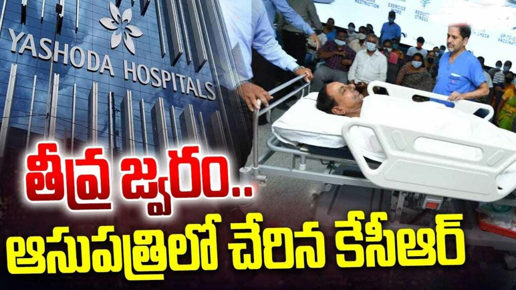 Kcr Hsp