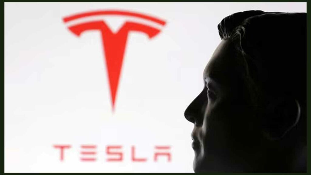 Musk Shares Down