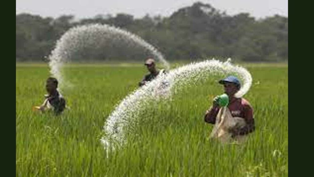 Urea Black Market