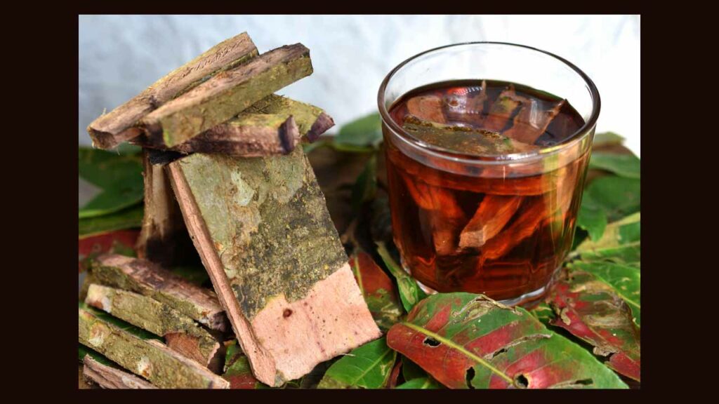 Arjuna Bark Water