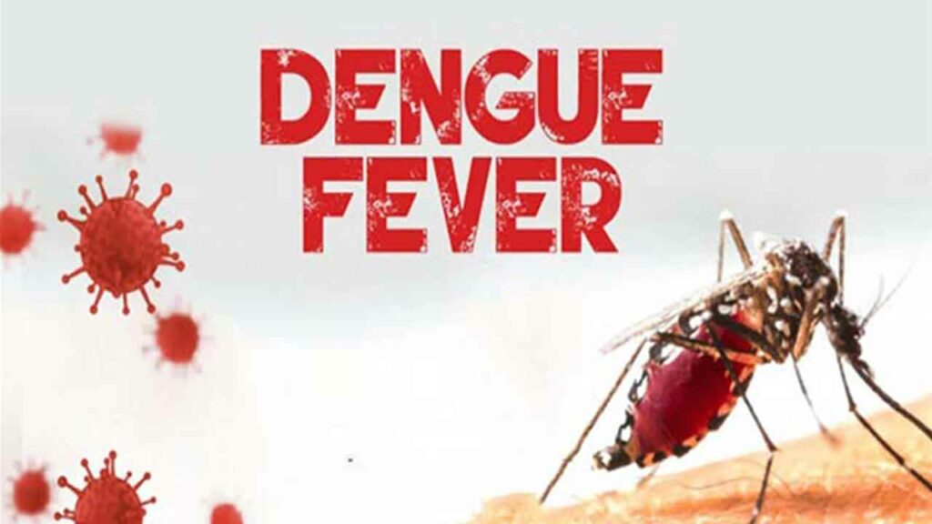 Dengue Fever