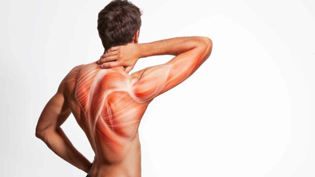Muscle Pain