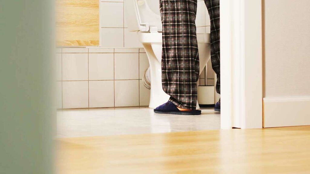 Overnight Toilet
