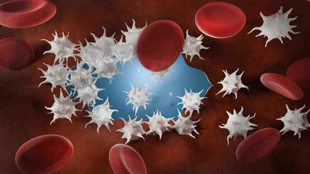 Platelets