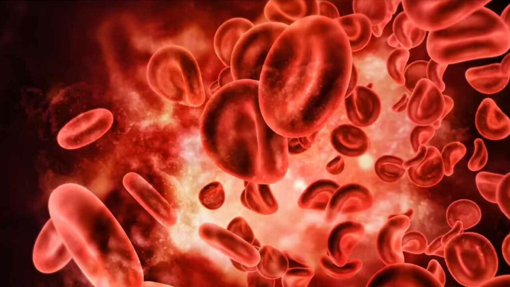 Which food purifies the blood?.. If you eat these foods daily, you will not get any diseases..!