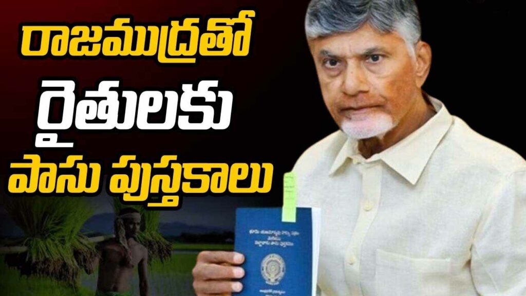 New Pass Books