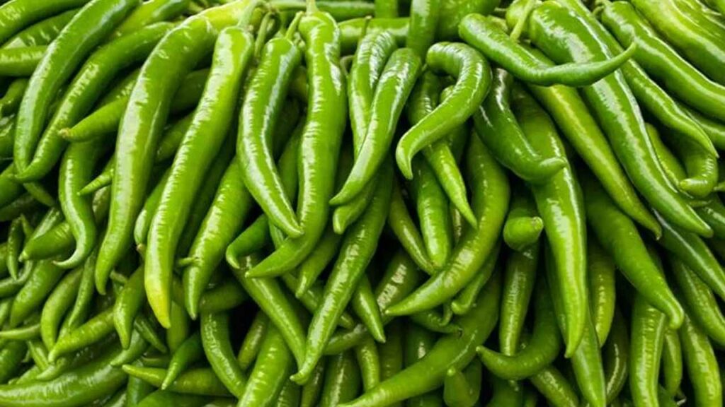 Is eating green chilies every day good for health? How many can you actually eat per day?