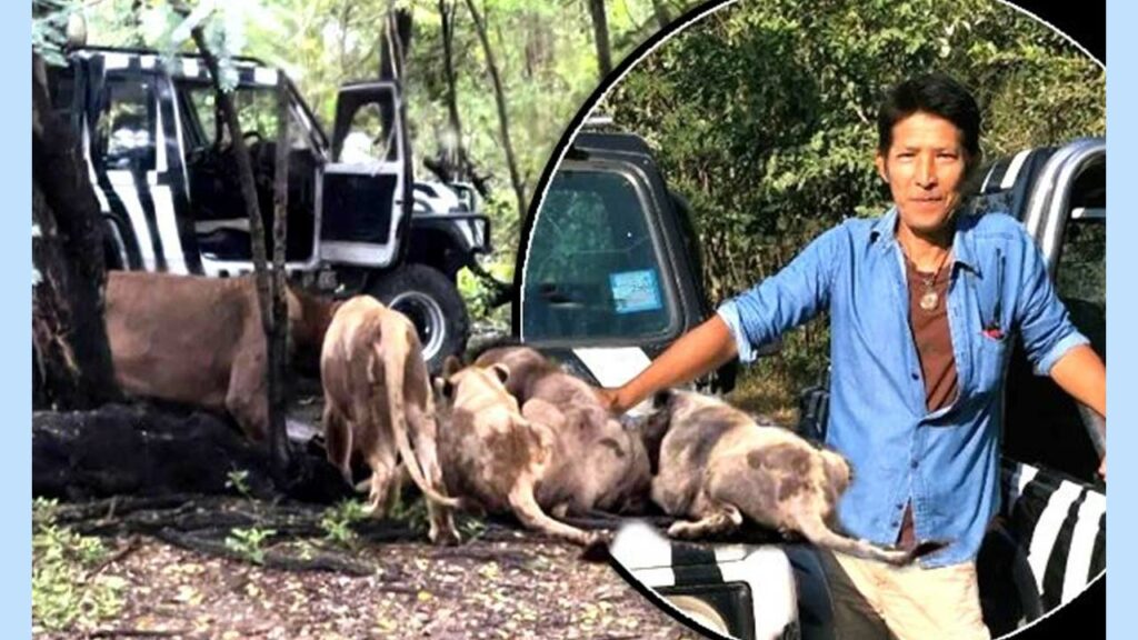 Lions Maul Zookeeper To Dea