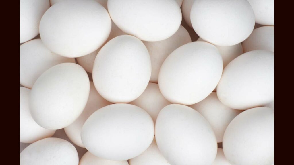 Ap Egg