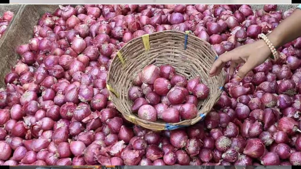 Onion Price
